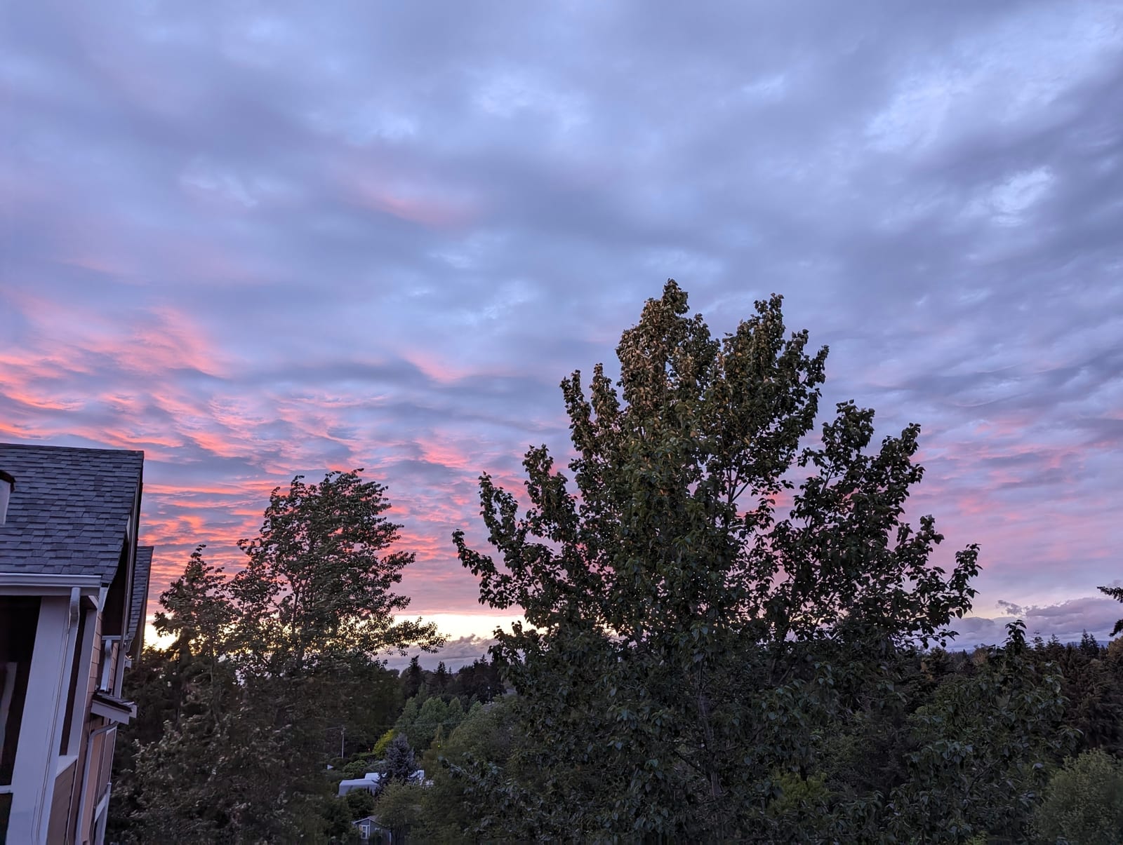 Edgewood, Washington